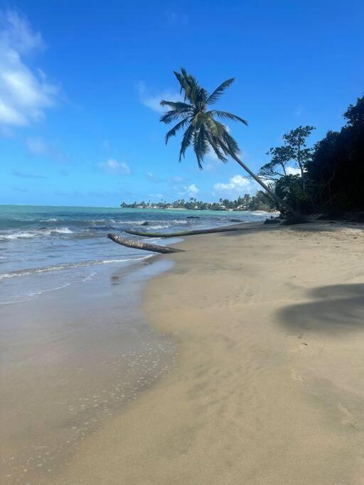 3Bedrm Beach Penthouse With Rooftop Terrace & Wifi Rio Grande Buitenkant foto